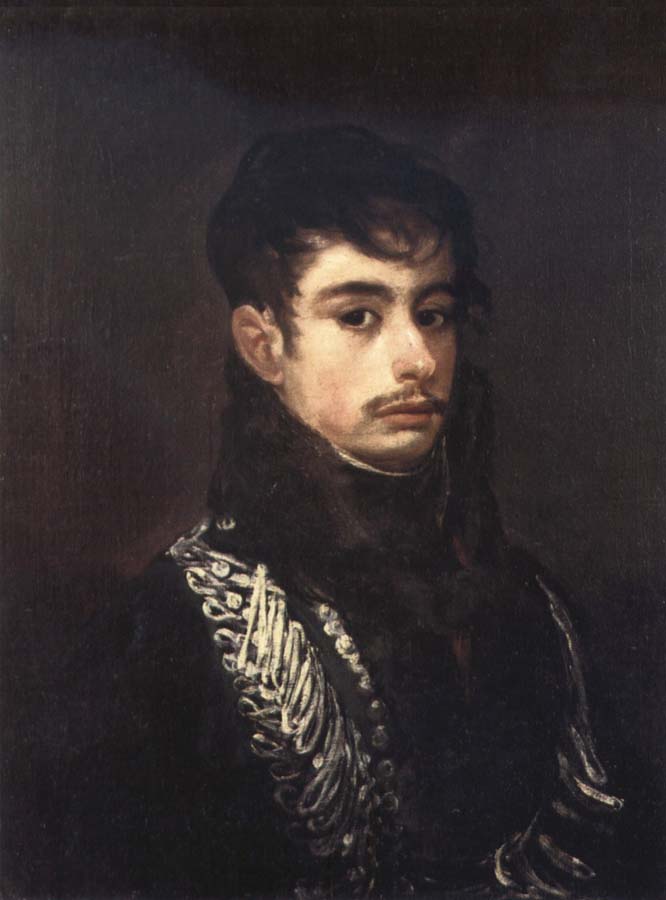 Francisco Goya An Officer